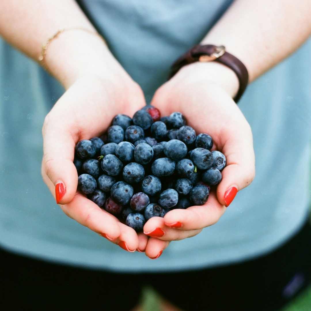 Blueberries for Health