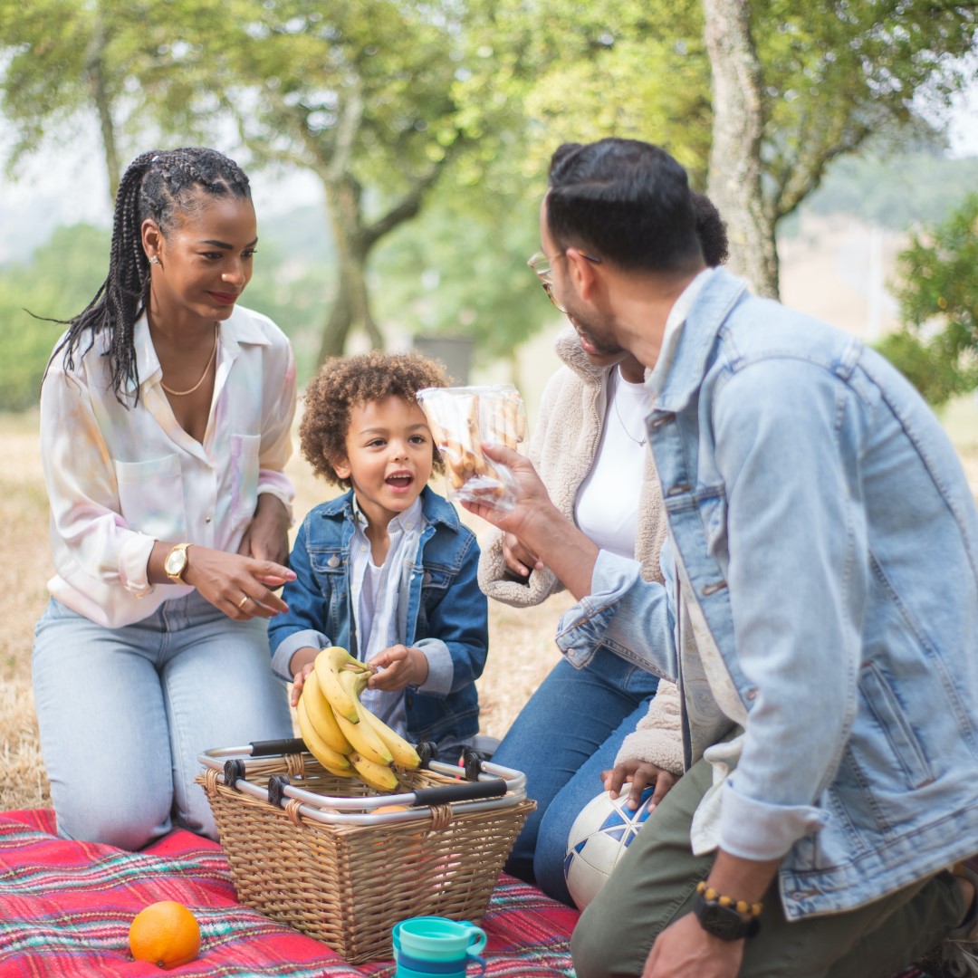 Family on a Picnic