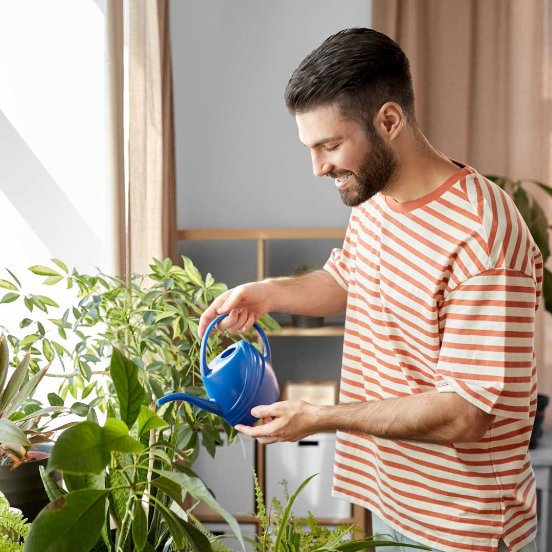 Houseplants 1