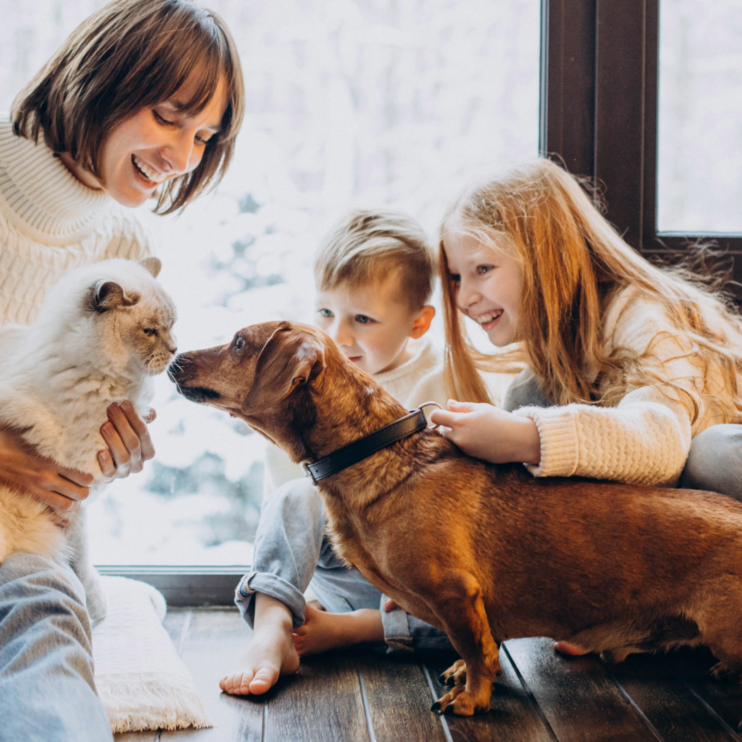 Pet Fire Safety 3