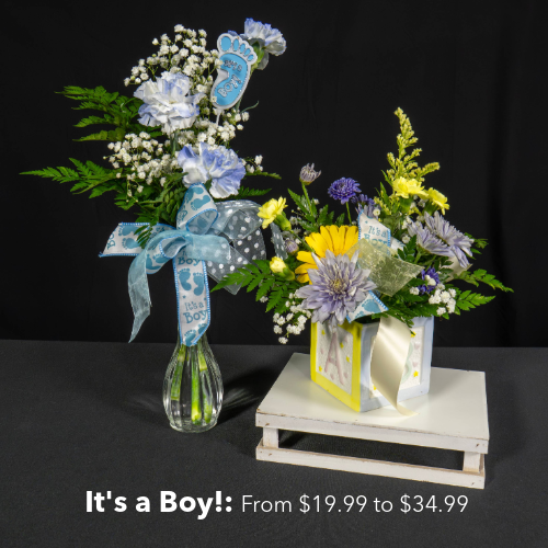 It's a Boy! flower arrangements priced from $19.99 to $34.99