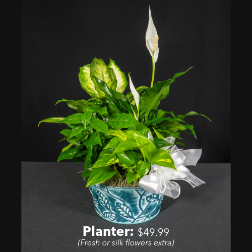 Flower planter priced at $49.99. Please note that fresh or silk flowers are available for a fee. 